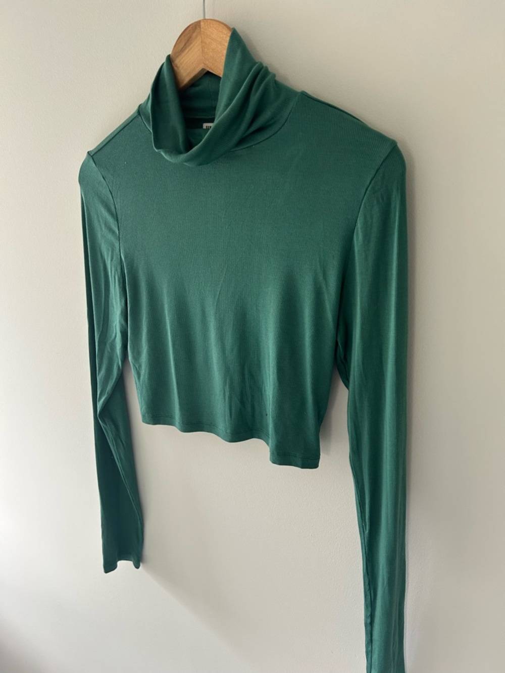 Aritzia Sunday Best Green Turtleneck Crop Top